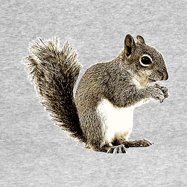 SQUIRREL by Show OFF Your T-shirts!™